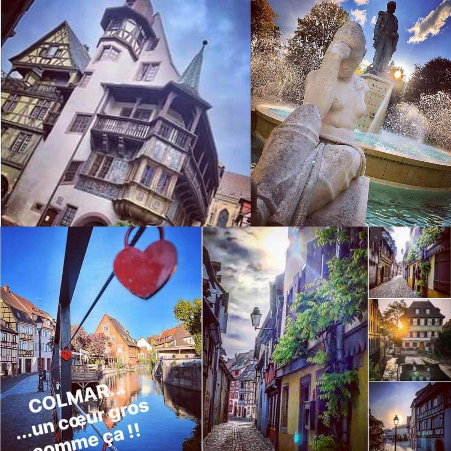 N¨°1 Schongauer Gite De Charme Centre Touristique קולמר מראה חיצוני תמונה